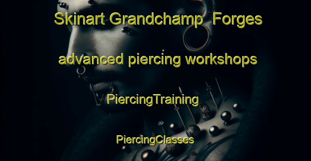 Skinart Grandchamp  Forges advanced piercing workshops | #PiercingTraining #PiercingClasses #SkinartTraining-France