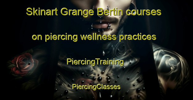 Skinart Grange Bertin courses on piercing wellness practices | #PiercingTraining #PiercingClasses #SkinartTraining-France