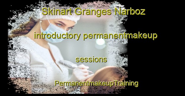 Skinart Granges Narboz introductory permanentmakeup sessions | #PermanentmakeupTraining #PermanentmakeupClasses #SkinartTraining-France