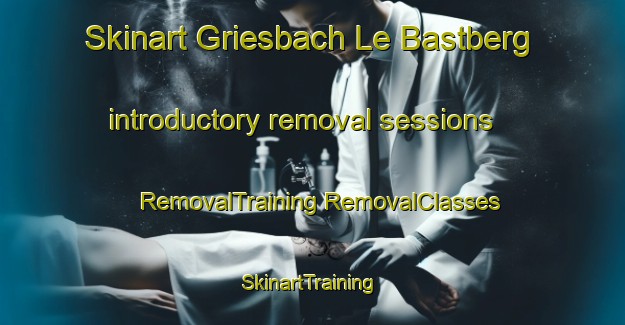 Skinart Griesbach Le Bastberg introductory removal sessions | #RemovalTraining #RemovalClasses #SkinartTraining-France