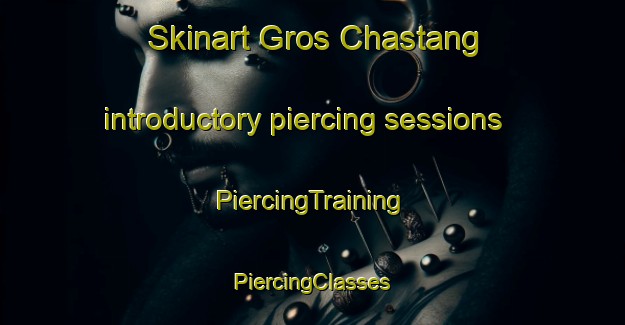 Skinart Gros Chastang introductory piercing sessions | #PiercingTraining #PiercingClasses #SkinartTraining-France