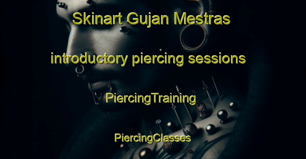 Skinart Gujan Mestras introductory piercing sessions | #PiercingTraining #PiercingClasses #SkinartTraining-France