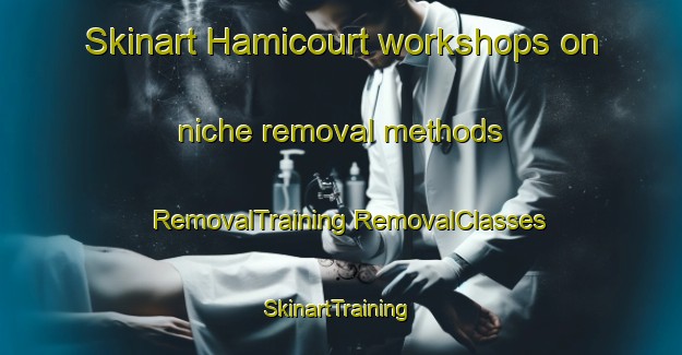 Skinart Hamicourt workshops on niche removal methods | #RemovalTraining #RemovalClasses #SkinartTraining-France