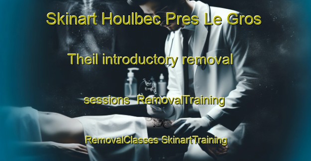 Skinart Houlbec Pres Le Gros Theil introductory removal sessions | #RemovalTraining #RemovalClasses #SkinartTraining-France