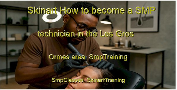 Skinart How to become a SMP technician in the Les Gros Ormes area | SmpTraining | SmpClasses | SkinartTraining-France
