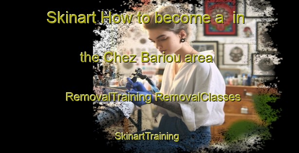 Skinart How to become a  in the Chez Bariou area | #RemovalTraining #RemovalClasses #SkinartTraining-France