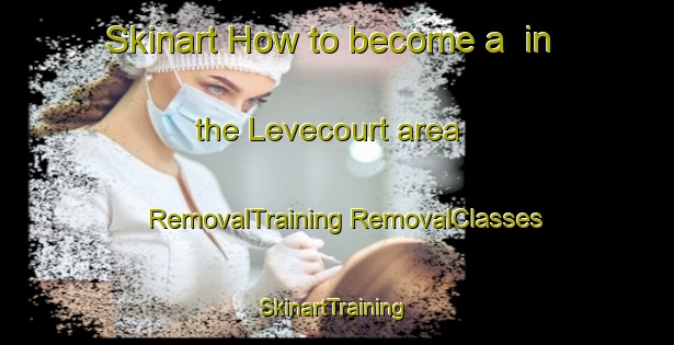 Skinart How to become a  in the Levecourt area | #RemovalTraining #RemovalClasses #SkinartTraining-France