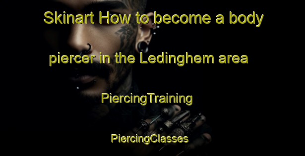 Skinart How to become a body piercer in the Ledinghem area | PiercingTraining | PiercingClasses | SkinartTraining-France