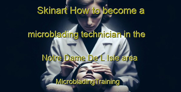 Skinart How to become a microblading technician in the Notre Dame De L Isle area | MicrobladingTraining | MicrobladingClasses | SkinartTraining-France