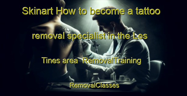 Skinart How to become a tattoo removal specialist in the Les Tines area | RemovalTraining | RemovalClasses | SkinartTraining-France
