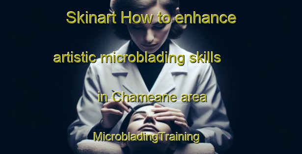 Skinart How to enhance artistic microblading skills in Chameane area | MicrobladingTraining | MicrobladingClasses | SkinartTraining-France