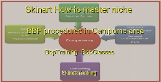 Skinart How to master niche BBP procedures in Campome area | BbpTraining | BbpClasses | SkinartTraining-France