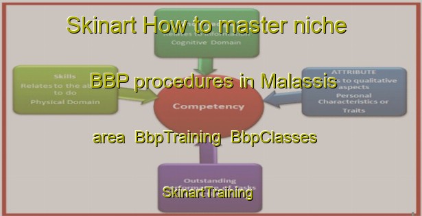 Skinart How to master niche BBP procedures in Malassis area | BbpTraining | BbpClasses | SkinartTraining-France