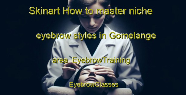 Skinart How to master niche eyebrow styles in Gomelange area | EyebrowTraining | EyebrowClasses | SkinartTraining-France