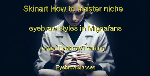 Skinart How to master niche eyebrow styles in Mignafans area | EyebrowTraining | EyebrowClasses | SkinartTraining-France