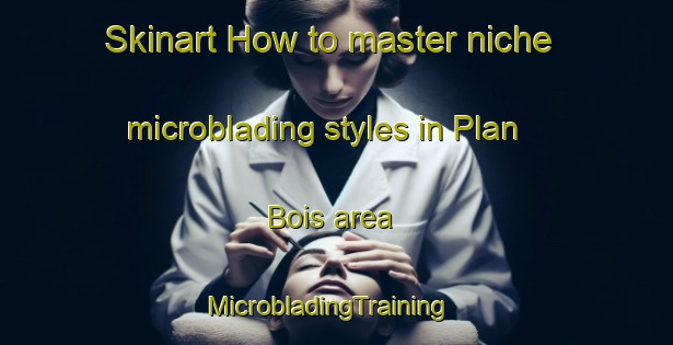 Skinart How to master niche microblading styles in Plan Bois area | MicrobladingTraining | MicrobladingClasses | SkinartTraining-France