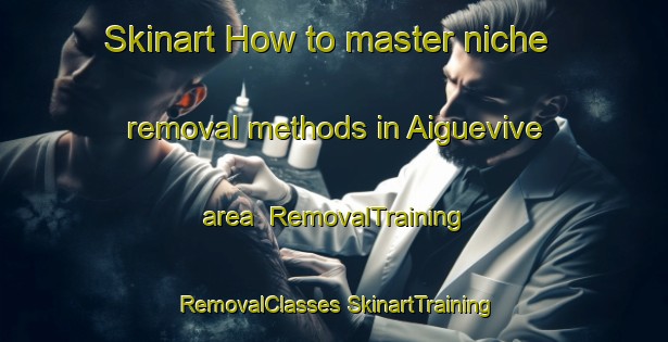 Skinart How to master niche removal methods in Aiguevive area | #RemovalTraining #RemovalClasses #SkinartTraining-France