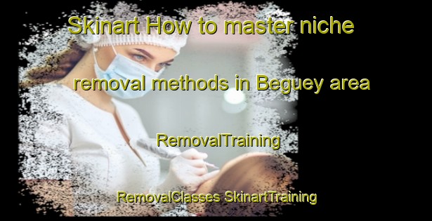 Skinart How to master niche removal methods in Beguey area | #RemovalTraining #RemovalClasses #SkinartTraining-France