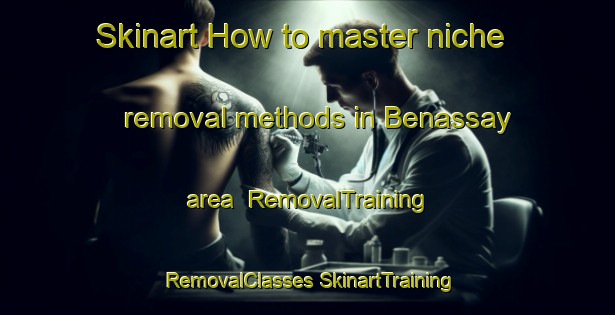 Skinart How to master niche removal methods in Benassay area | #RemovalTraining #RemovalClasses #SkinartTraining-France