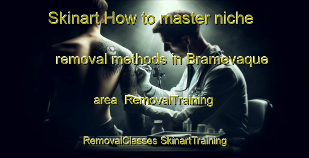 Skinart How to master niche removal methods in Bramevaque area | #RemovalTraining #RemovalClasses #SkinartTraining-France