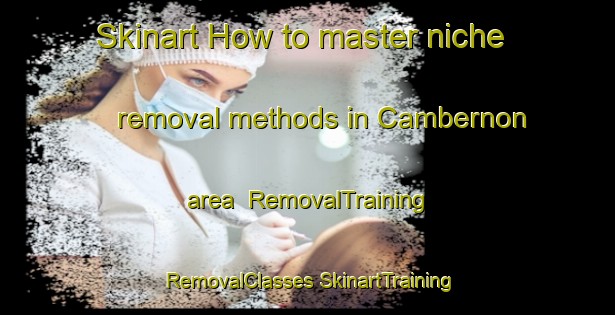 Skinart How to master niche removal methods in Cambernon area | #RemovalTraining #RemovalClasses #SkinartTraining-France