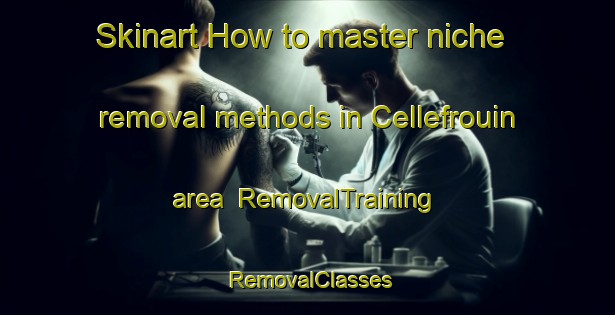 Skinart How to master niche removal methods in Cellefrouin area | RemovalTraining | RemovalClasses | SkinartTraining-France