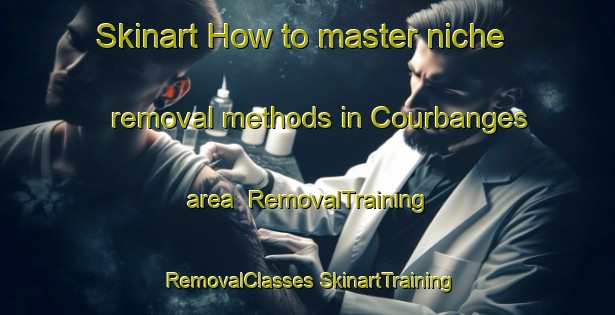 Skinart How to master niche removal methods in Courbanges area | #RemovalTraining #RemovalClasses #SkinartTraining-France