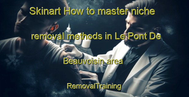 Skinart How to master niche removal methods in Le Pont De Beauvoisin area | RemovalTraining | RemovalClasses | SkinartTraining-France