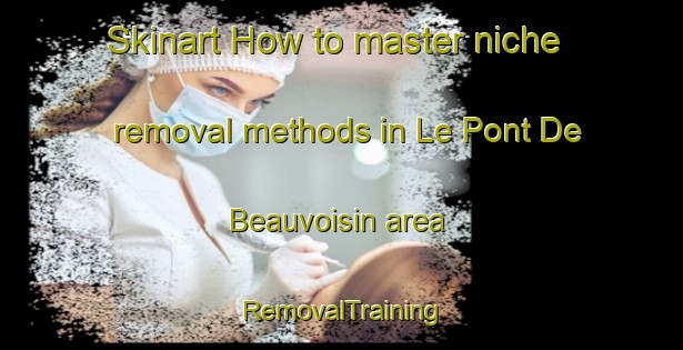 Skinart How to master niche removal methods in Le Pont De Beauvoisin area | RemovalTraining | RemovalClasses | SkinartTraining-France