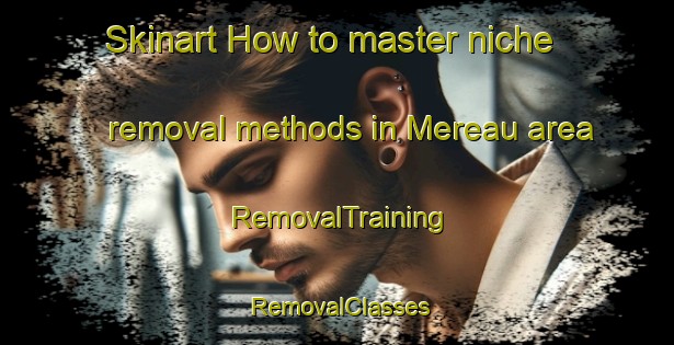 Skinart How to master niche removal methods in Mereau area | RemovalTraining | RemovalClasses | SkinartTraining-France
