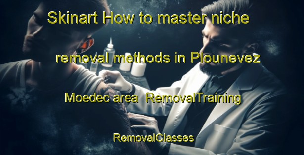 Skinart How to master niche removal methods in Plounevez Moedec area | RemovalTraining | RemovalClasses | SkinartTraining-France