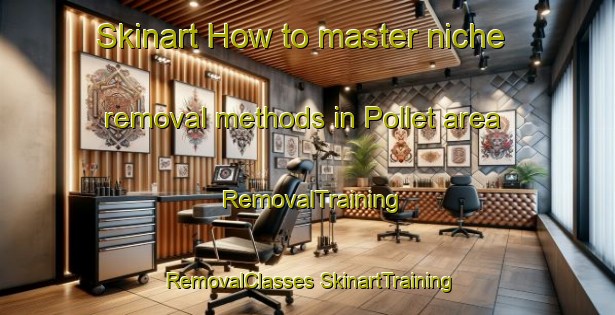 Skinart How to master niche removal methods in Pollet area | #RemovalTraining #RemovalClasses #SkinartTraining-France