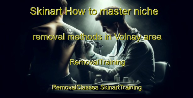 Skinart How to master niche removal methods in Volnay area | #RemovalTraining #RemovalClasses #SkinartTraining-France