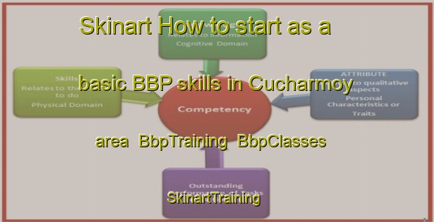 Skinart How to start as a basic BBP skills in Cucharmoy area | BbpTraining | BbpClasses | SkinartTraining-France