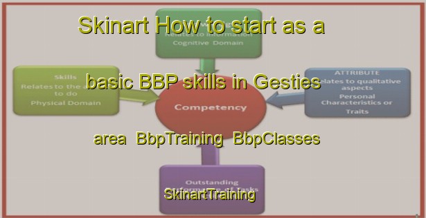 Skinart How to start as a basic BBP skills in Gesties area | BbpTraining | BbpClasses | SkinartTraining-France