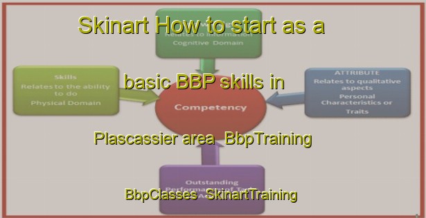 Skinart How to start as a basic BBP skills in Plascassier area | BbpTraining | BbpClasses | SkinartTraining-France