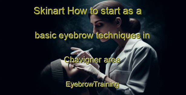 Skinart How to start as a basic eyebrow techniques in Chavigner area | EyebrowTraining | EyebrowClasses | SkinartTraining-France