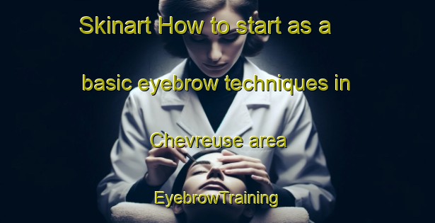 Skinart How to start as a basic eyebrow techniques in Chevreuse area | EyebrowTraining | EyebrowClasses | SkinartTraining-France