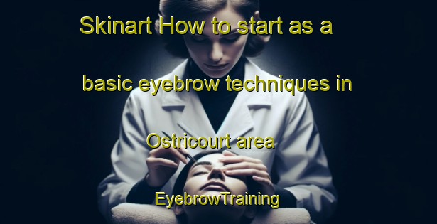 Skinart How to start as a basic eyebrow techniques in Ostricourt area | EyebrowTraining | EyebrowClasses | SkinartTraining-France