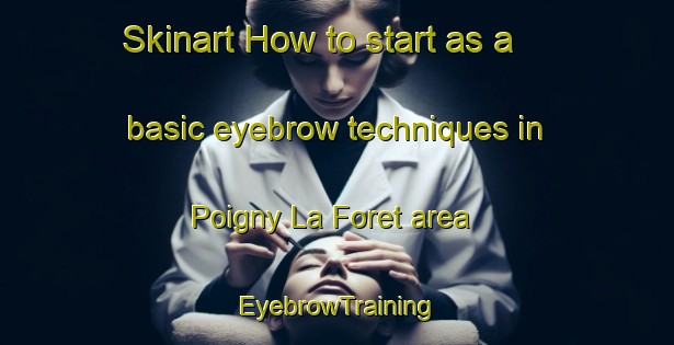 Skinart How to start as a basic eyebrow techniques in Poigny La Foret area | EyebrowTraining | EyebrowClasses | SkinartTraining-France