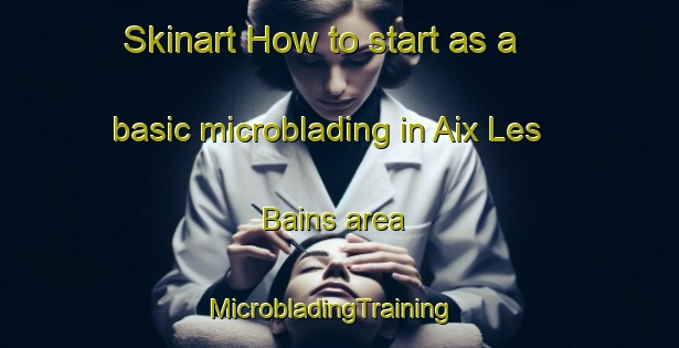 Skinart How to start as a basic microblading in Aix Les Bains area | MicrobladingTraining | MicrobladingClasses | SkinartTraining-France