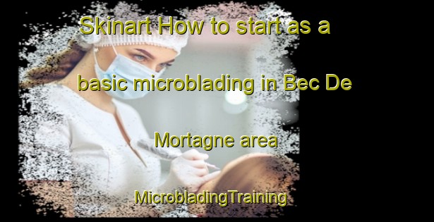 Skinart How to start as a basic microblading in Bec De Mortagne area | MicrobladingTraining | MicrobladingClasses | SkinartTraining-France