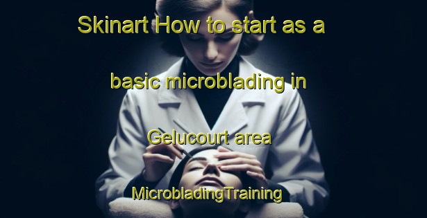 Skinart How to start as a basic microblading in Gelucourt area | MicrobladingTraining | MicrobladingClasses | SkinartTraining-France