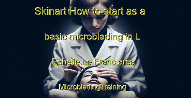 Skinart How to start as a basic microblading in L Echelle Le Franc area | MicrobladingTraining | MicrobladingClasses | SkinartTraining-France