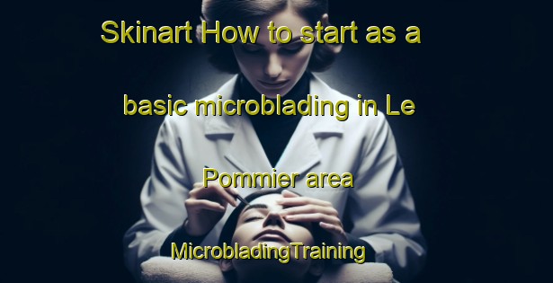 Skinart How to start as a basic microblading in Le Pommier area | MicrobladingTraining | MicrobladingClasses | SkinartTraining-France