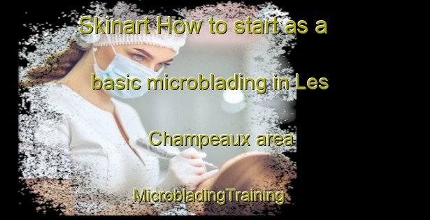 Skinart How to start as a basic microblading in Les Champeaux area | MicrobladingTraining | MicrobladingClasses | SkinartTraining-France