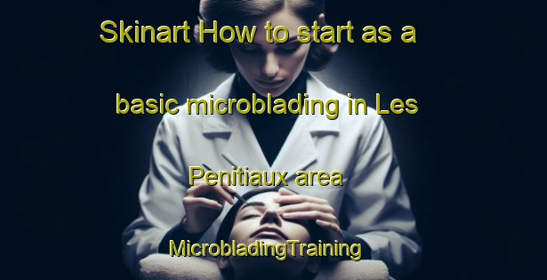 Skinart How to start as a basic microblading in Les Penitiaux area | MicrobladingTraining | MicrobladingClasses | SkinartTraining-France