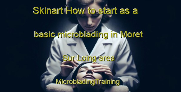 Skinart How to start as a basic microblading in Moret Sur Loing area | MicrobladingTraining | MicrobladingClasses | SkinartTraining-France