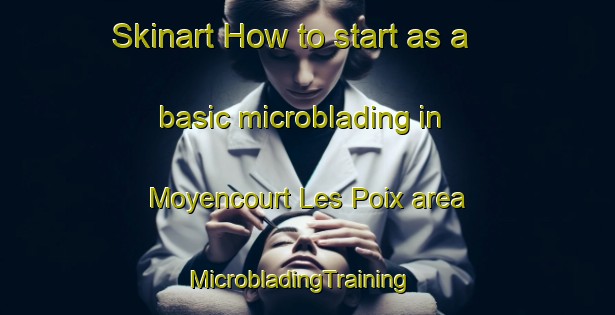 Skinart How to start as a basic microblading in Moyencourt Les Poix area | MicrobladingTraining | MicrobladingClasses | SkinartTraining-France