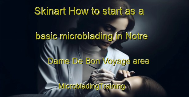 Skinart How to start as a basic microblading in Notre Dame De Bon Voyage area | MicrobladingTraining | MicrobladingClasses | SkinartTraining-France